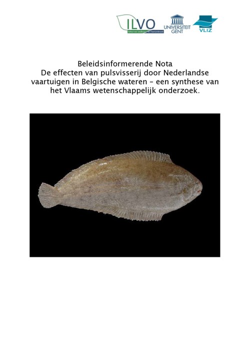 De effecten van pulsvisserij door Nederlandse vaartuigen in Belgische wateren - een synthese van het Vlaams wetenschappelijk onderzoek