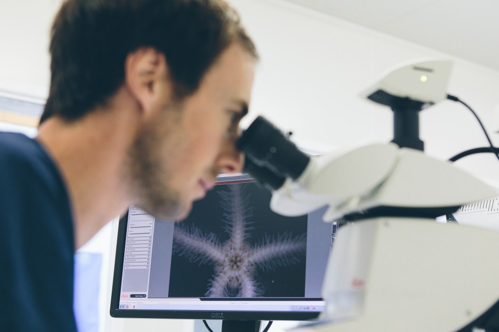 laborant kijkt door microscoop