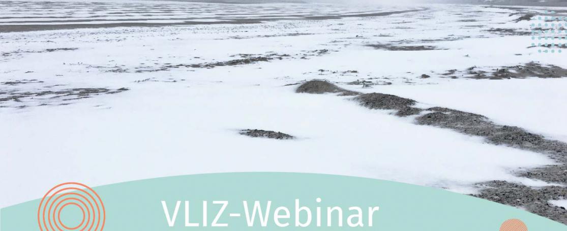 VLIZ-webinar strandwandeling winter