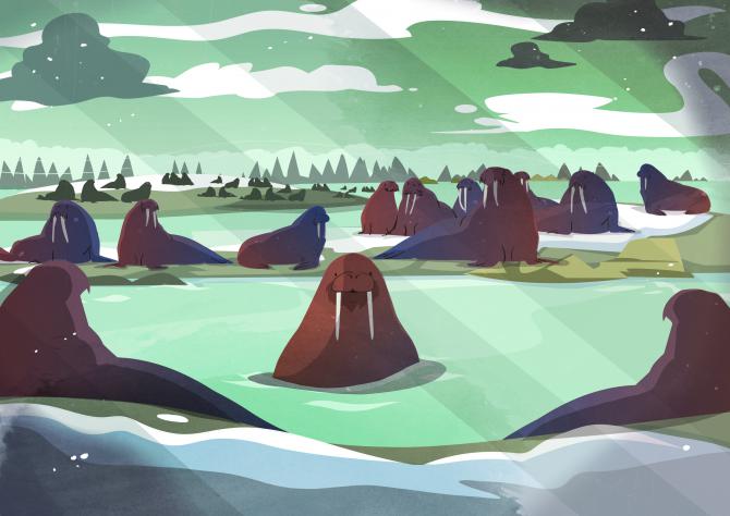 a4_walrus_scene.jpg