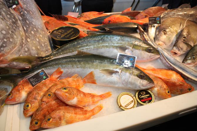 fig.6._european_seafood_exposition_2013_brussel_6.jpg