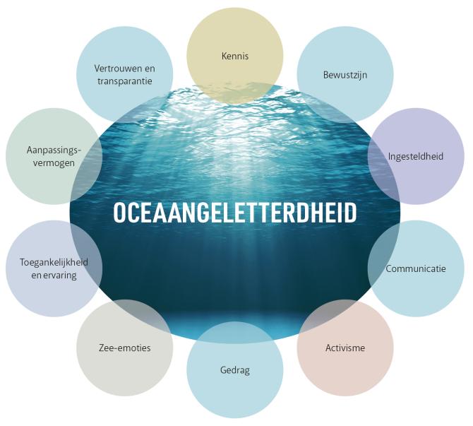 groterede_59_oceaangeletterdheid.jpg