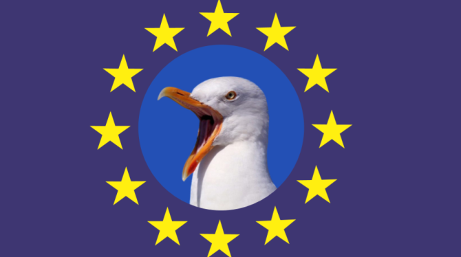 gull-screeching-2020_18.png