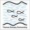 Thames Estuary Partnership