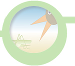 Agriculture & biodiversity case study image © Franz Michael Gruenweis