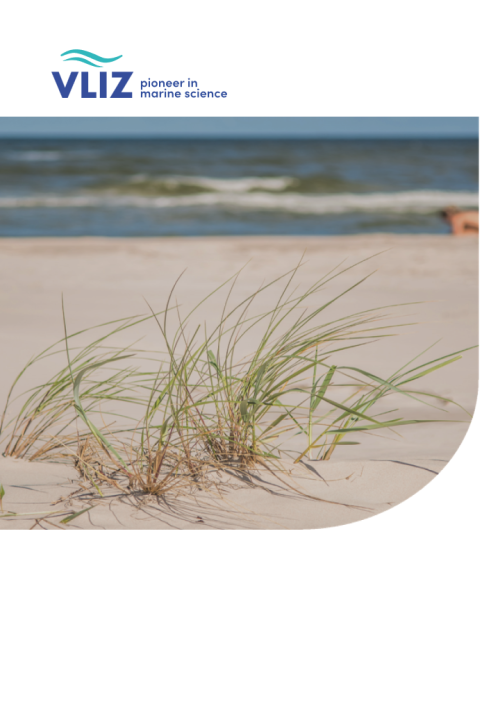 dune grass on the beach