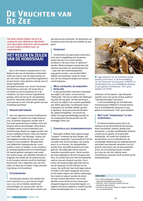 De vruchten van de zee: Het reilen en zeilen van de hondshaai