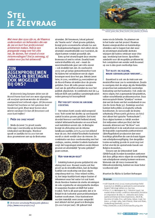 Stel je zeevraag: Zijn algenproblemen zoals in Bretagne ook mogelijk bij ons?