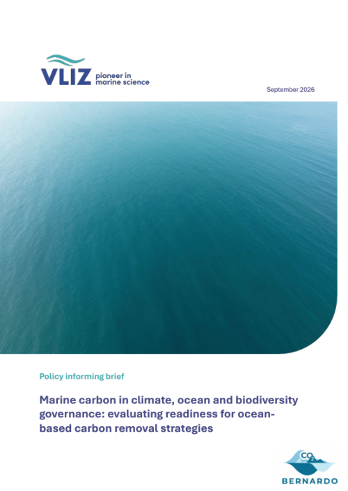 Marine carbon in climate, ocean and biodiversity governance: Evaluating readiness for ocean-based carbon removal strategies