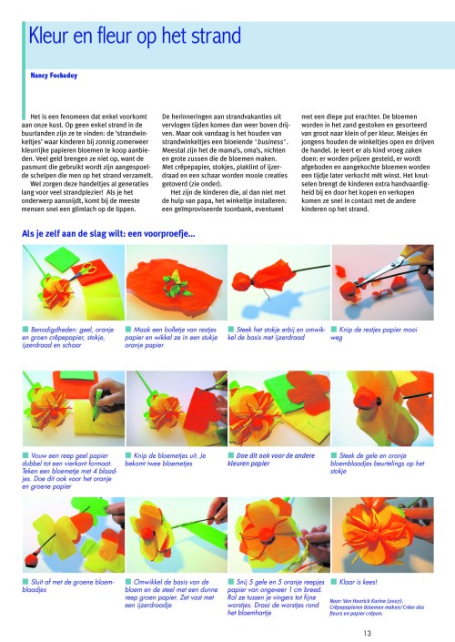 Kleur en fleur op het strand