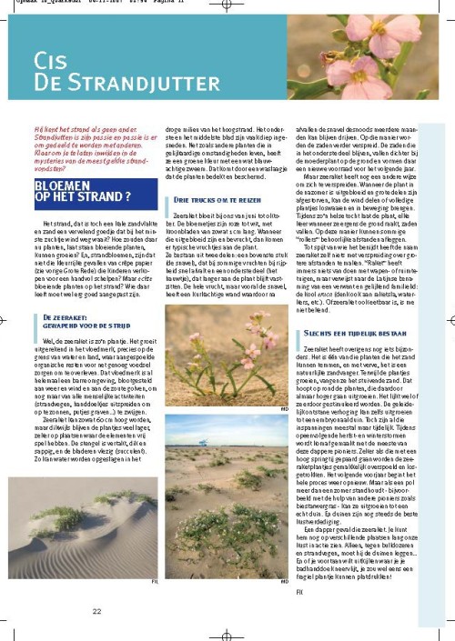 Cis de strandjutter: bloemen op het strand?