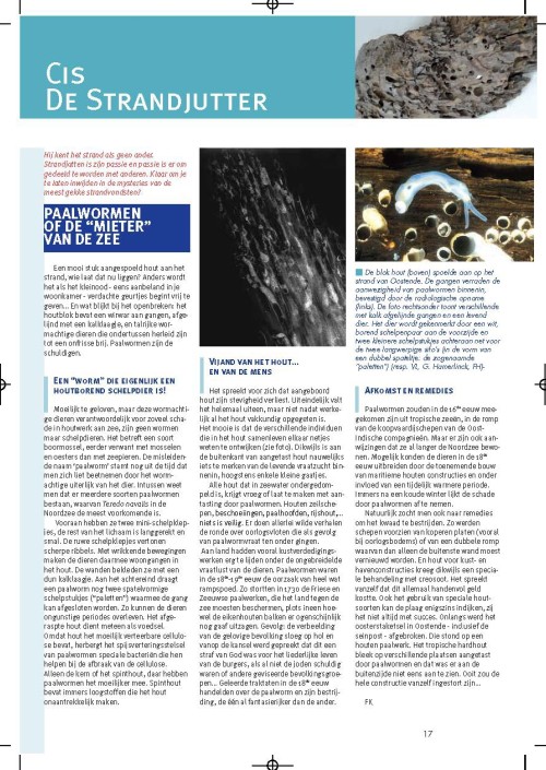 Cis de strandjutter: Paalwormen of de “mieter” van de zee