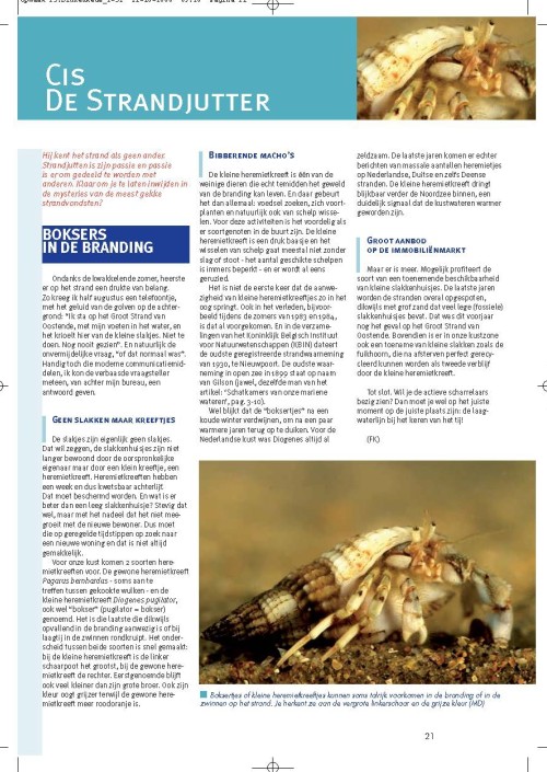 Cis de strandjutter: Boksers in de branding