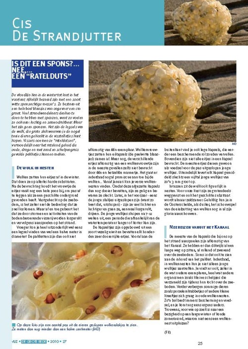 Cis de Strandjutter: is dit een spons?... nee,... een "ratelduts"