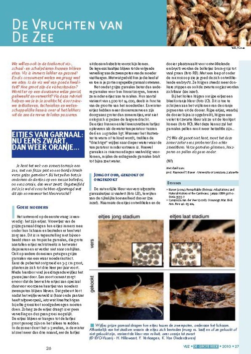 Vruchten van de Zee: Eitjes van garnaal: nu eens zwart, dan weer oranje...