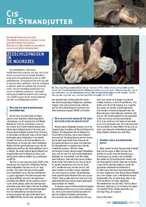 Cis de strandjutter: Zeeschildpadden in de Noordzee