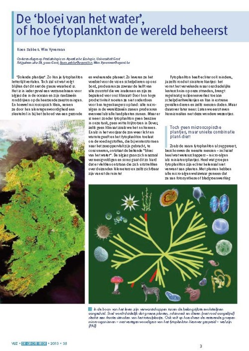 De ‘bloei van het water’, of hoe fytoplankton de wereld beheerst