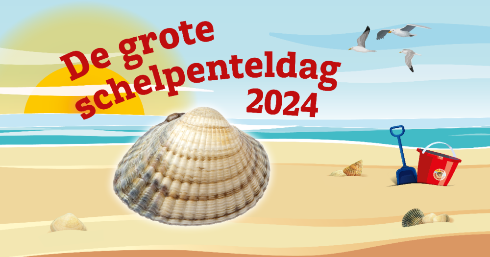 De Grote Schelpenteldag 2024