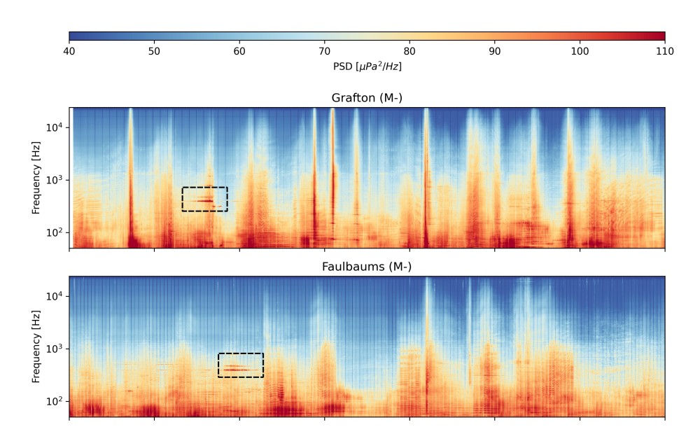 Opnames van soundscapes op twee locaties nabij scheepswrakken in de Noordzee. 