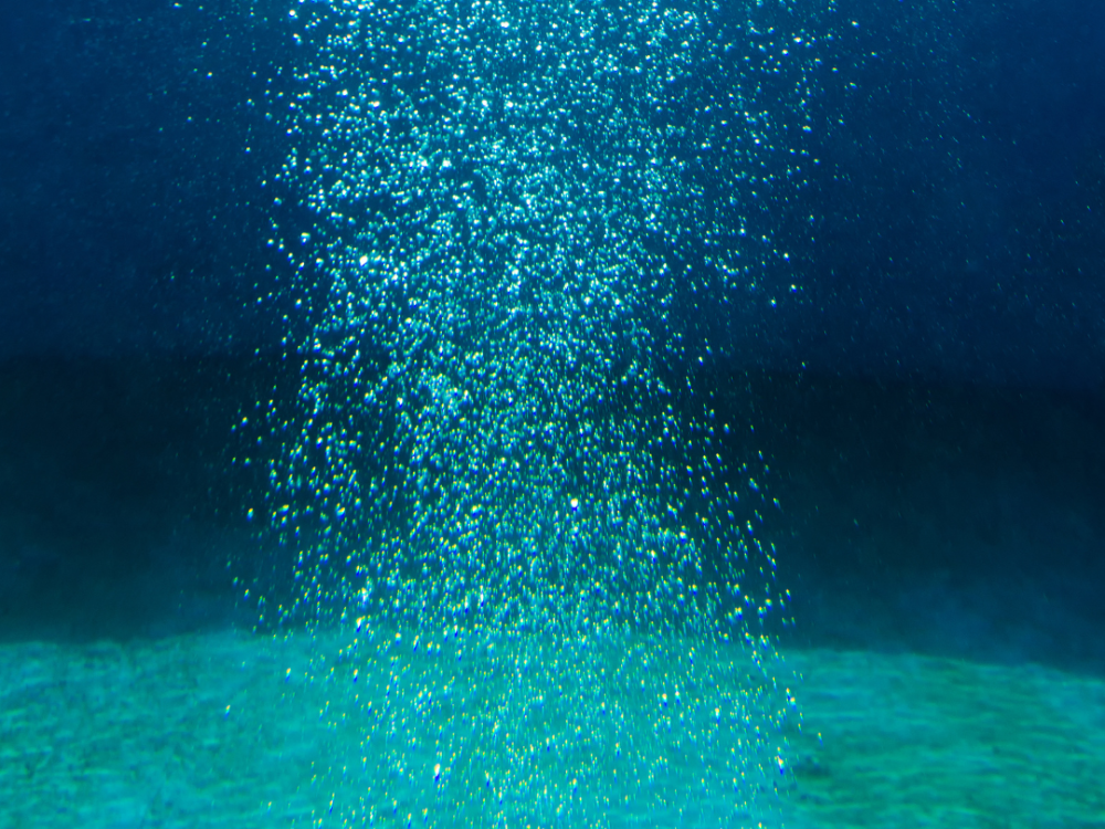 Workshop 'Luister naar de oceaan'