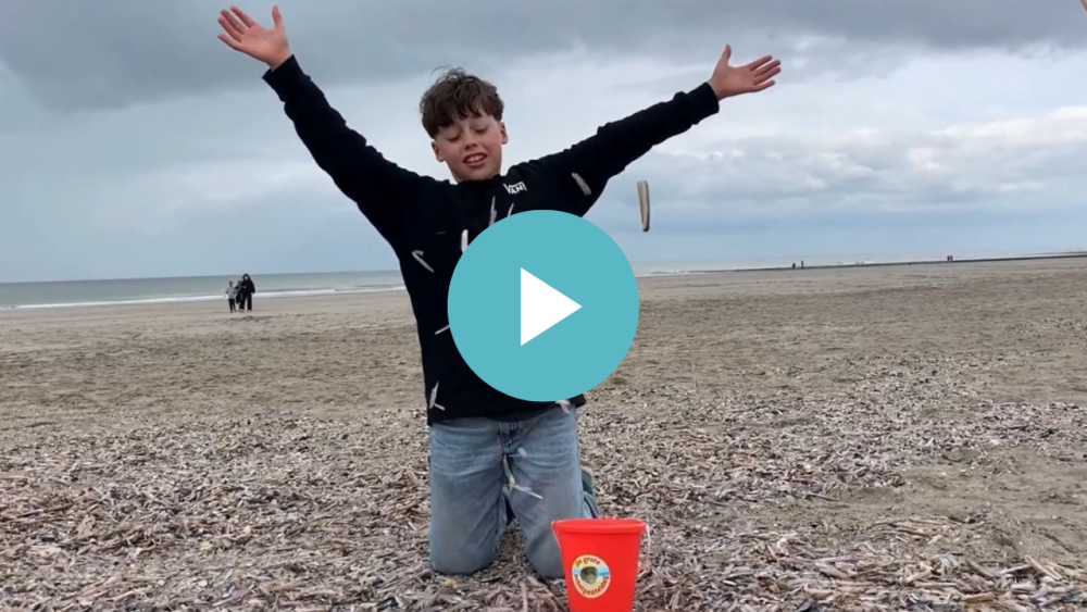 Big Seashell Survey 2025