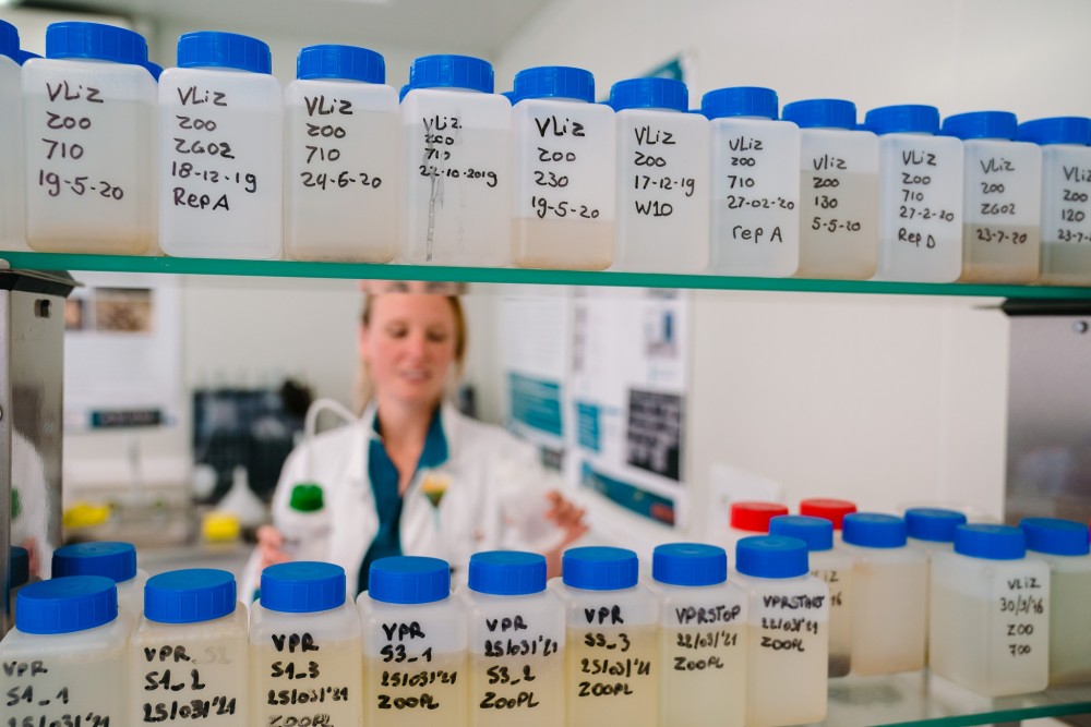 op het zeebad #3 bezoek je de VLIZ laboratoria