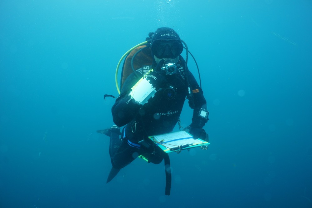 GIRT burgerwetenschapsproject