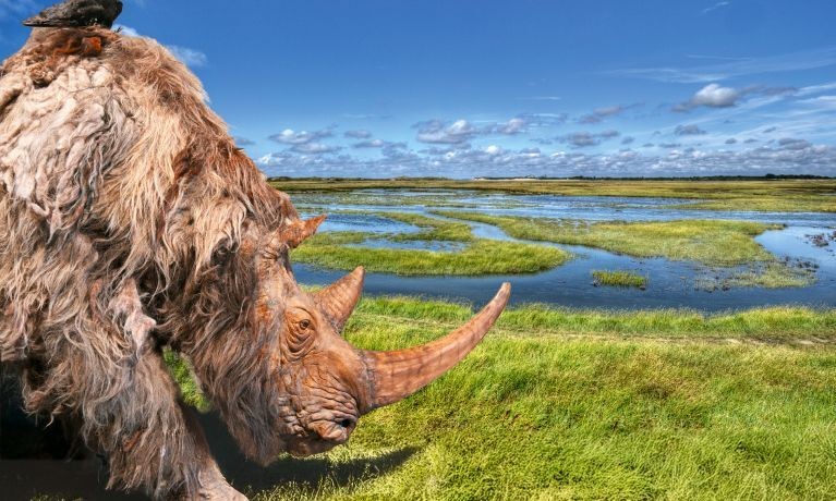 trefdag voor kustgidsen 2025