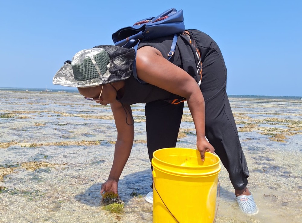 Fieldwork by Gladys Mwaka Holeh in Kenya
