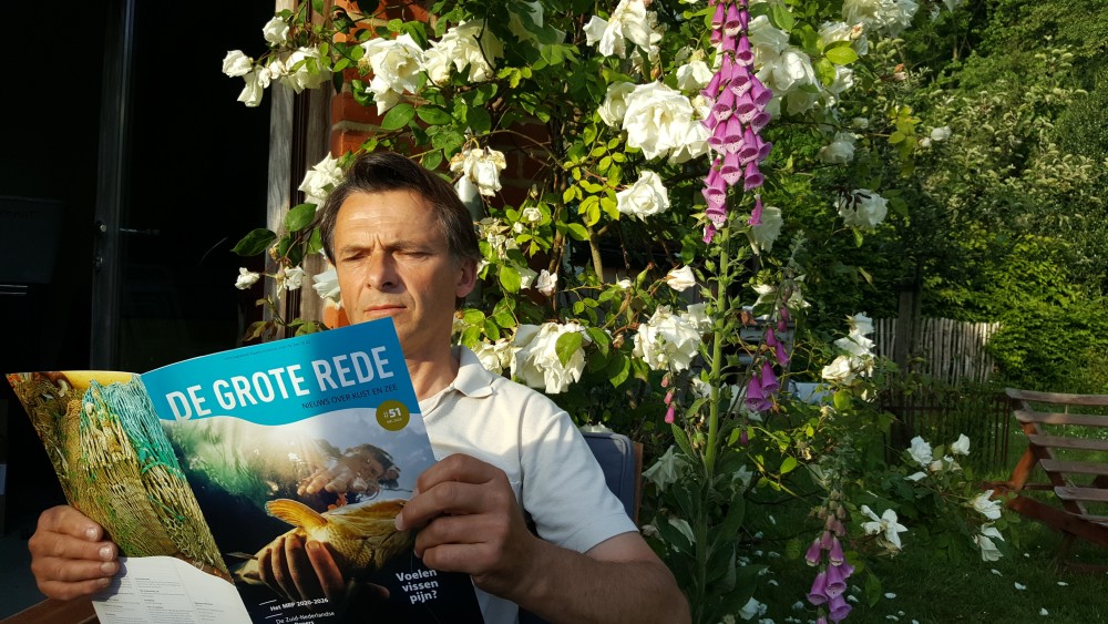 Grote Rede zwaait uit