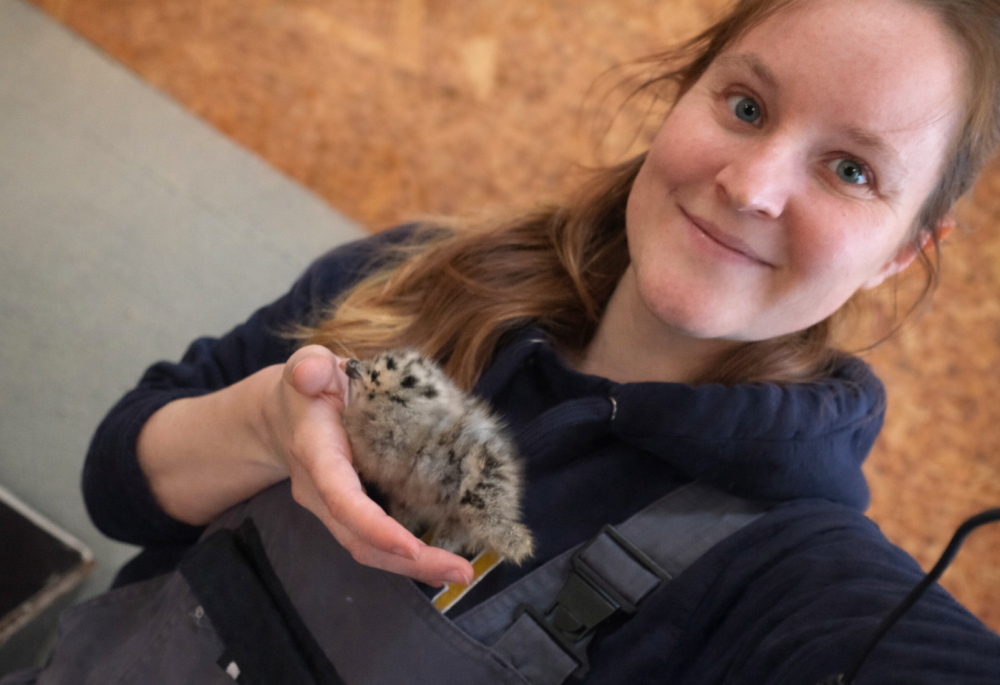 Sophia Knoch BMRI 2026