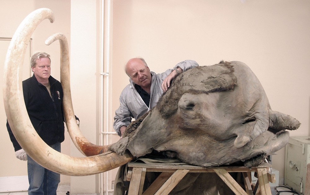  Dick Mol, Nederlands ijstijdfauna expert