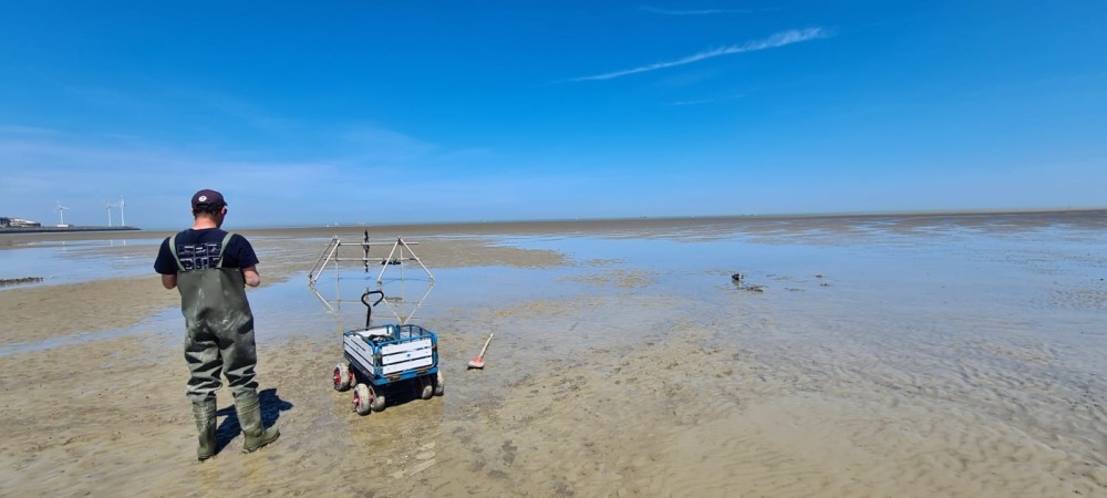 Experimentele opstelling in de Baai van Heist Bay of Heist: matten (links), meetconstructie en sensoren (midden), en ADCP ingegraven in het zand (rechts) met Juergen Zier, onderzoeker van het VLIZ Marine Robotics Centre. FOTO: VLIZ | Christophe Maier