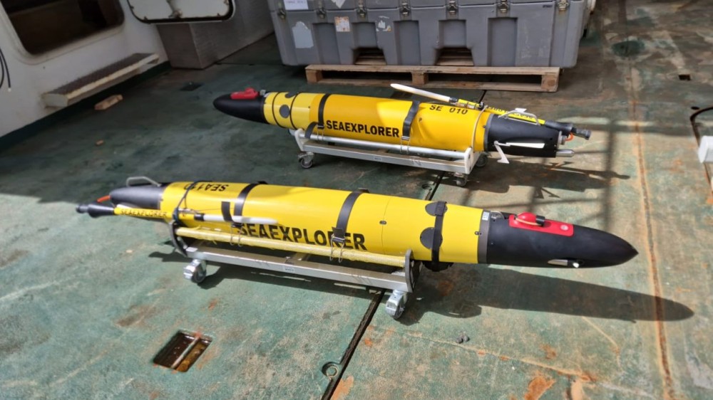 De gliders Yoko and Tsuno