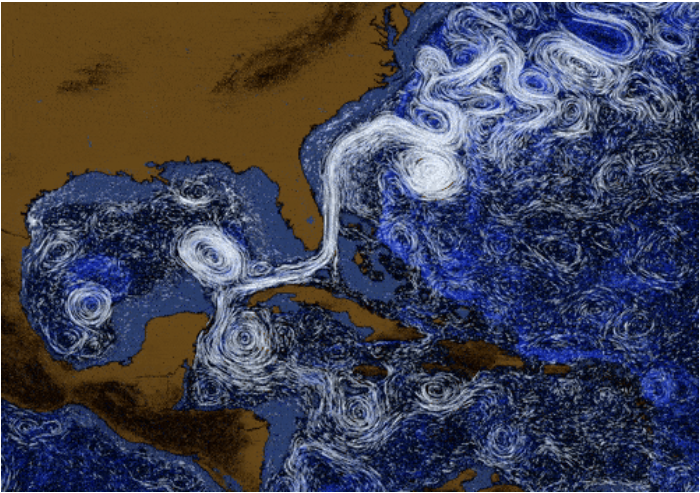 Visualisatie van de oppervlaktestromingen in het zuidwestelijke deel van de Noord-Atlantische Oceaan, met focus op de Loop Current in de Golf van Mexico en de Golfstroom langs de Amerikaanse kust.