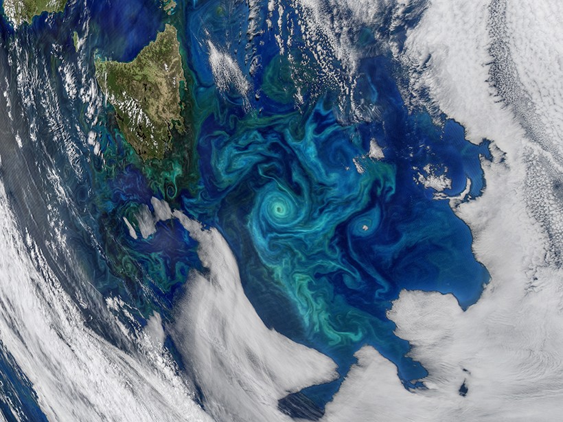 Een bloei van fytoplankton in de Tasmanzee (2017), vastgelegd door het MODIS-instrument van de NASA aan boord van de Aqua-satelliet op 21 november 2017.