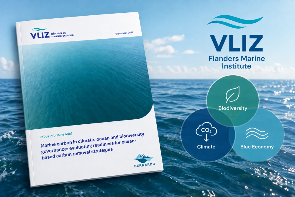 Cover PB ocean-based carbon removal BERNARDO