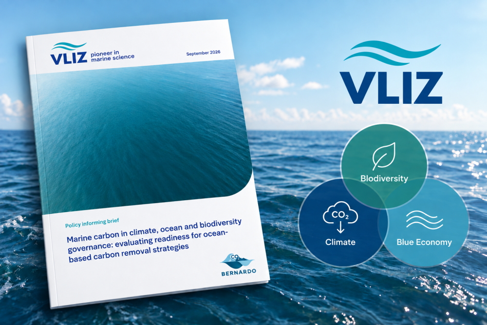 Cover PB ocean-based carbon removal BERNARDO