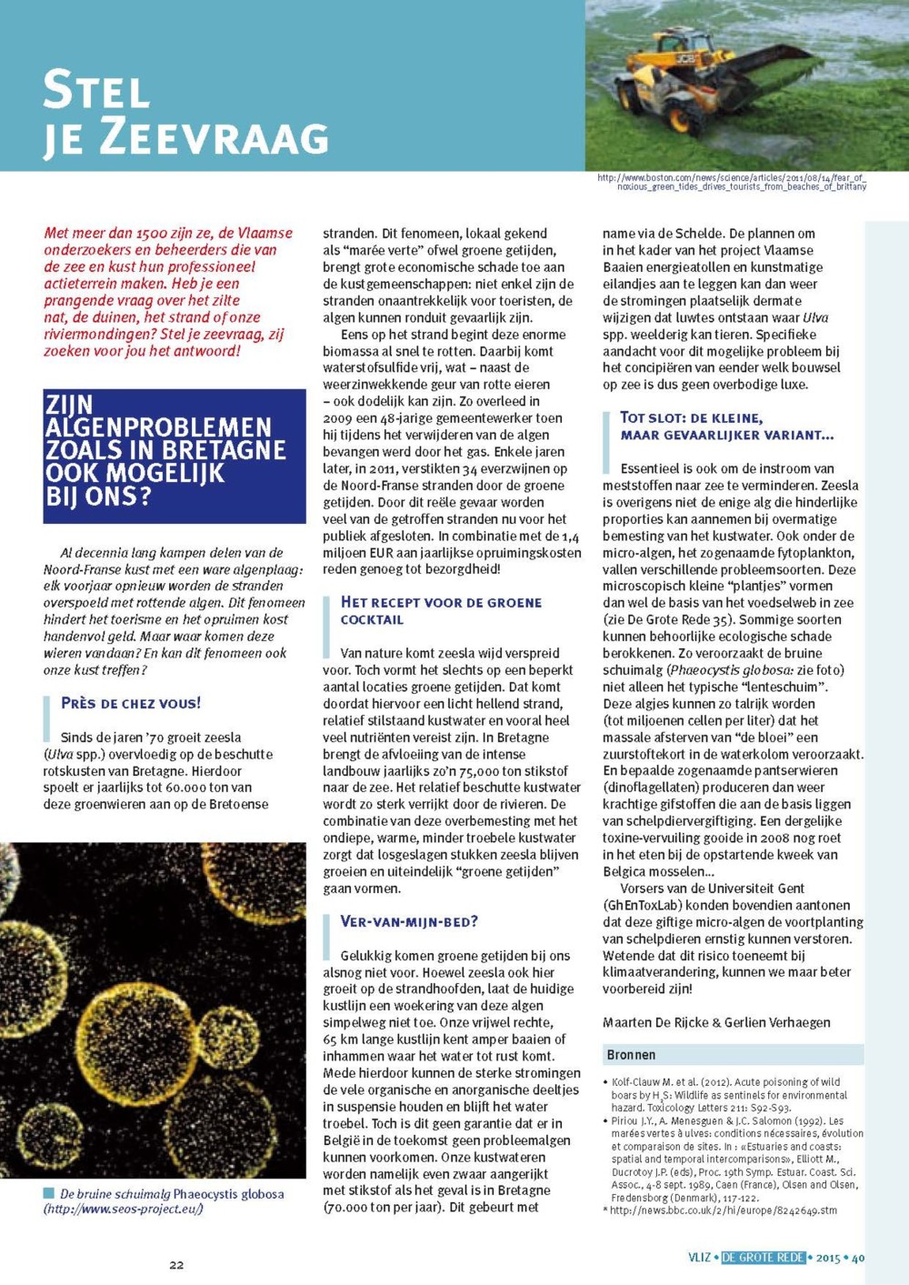 Stel je zeevraag: Zijn algenproblemen zoals in Bretagne ook mogelijk bij ons?