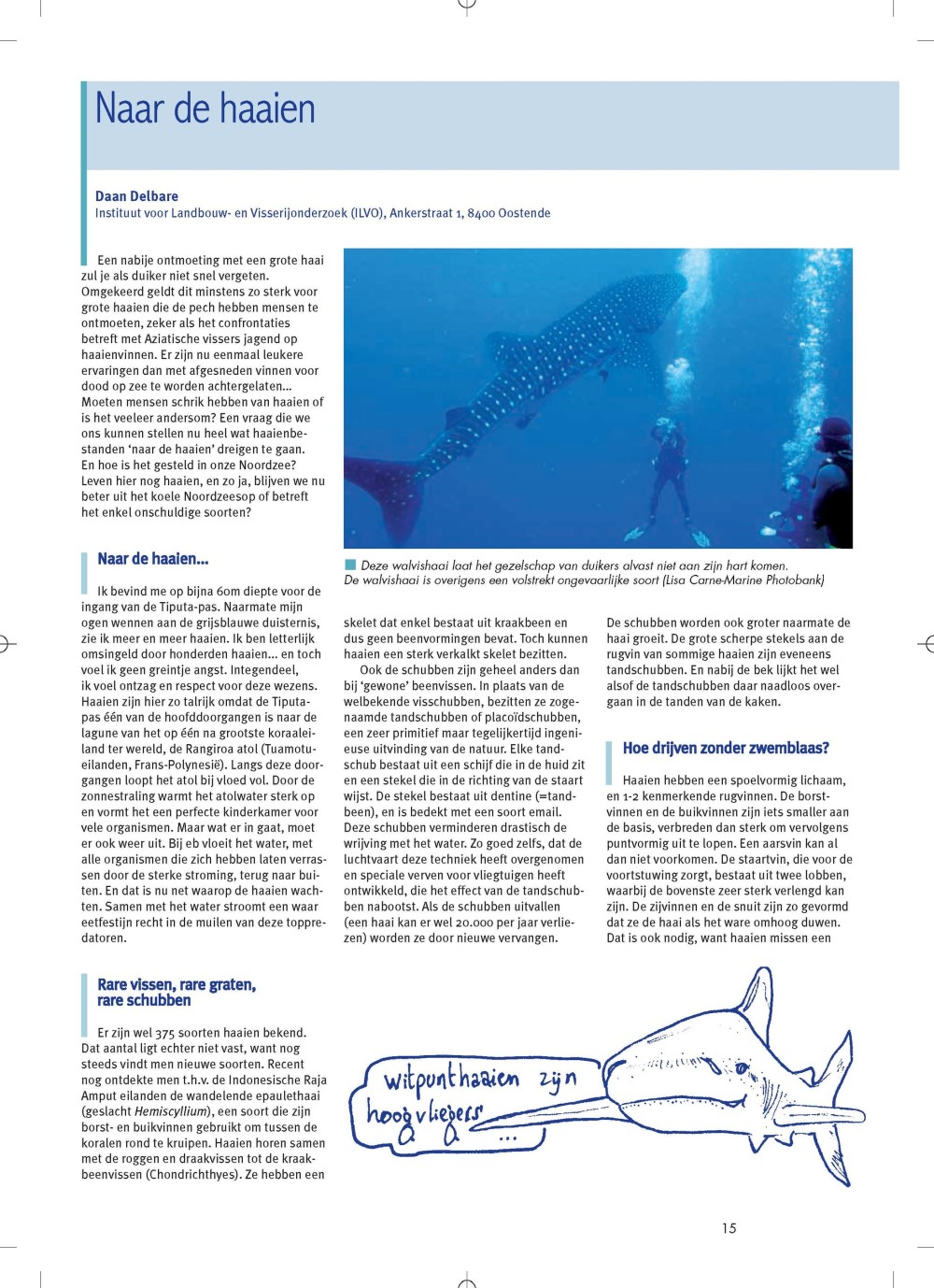 Naar de haaien