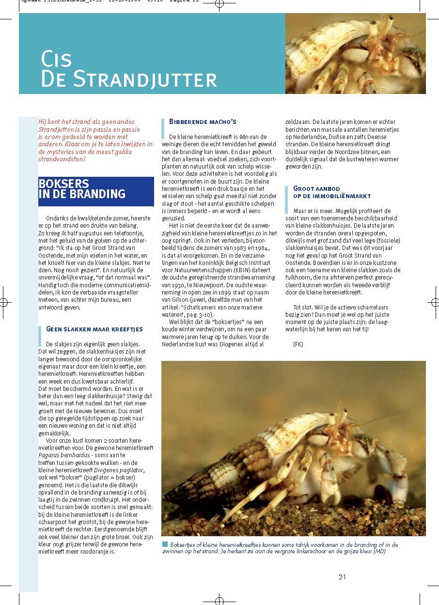 Cis de strandjutter: Boksers in de branding