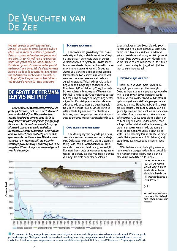 De vruchten van de zee: De grote pieterman: een vis met pit?