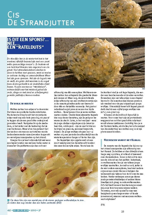 Cis de Strandjutter: is dit een spons?... nee,... een "ratelduts"