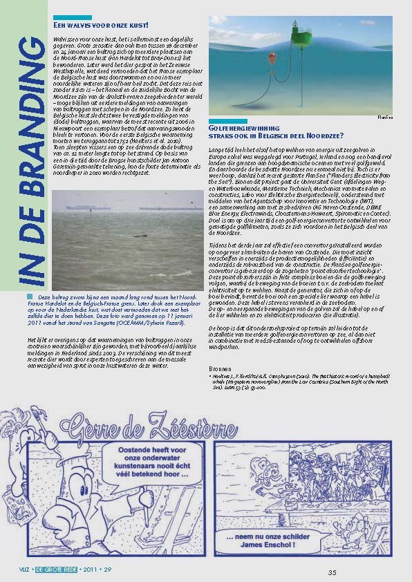 In de branding