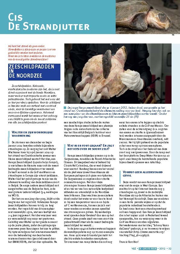 Cis de strandjutter: Zeeschildpadden in de Noordzee