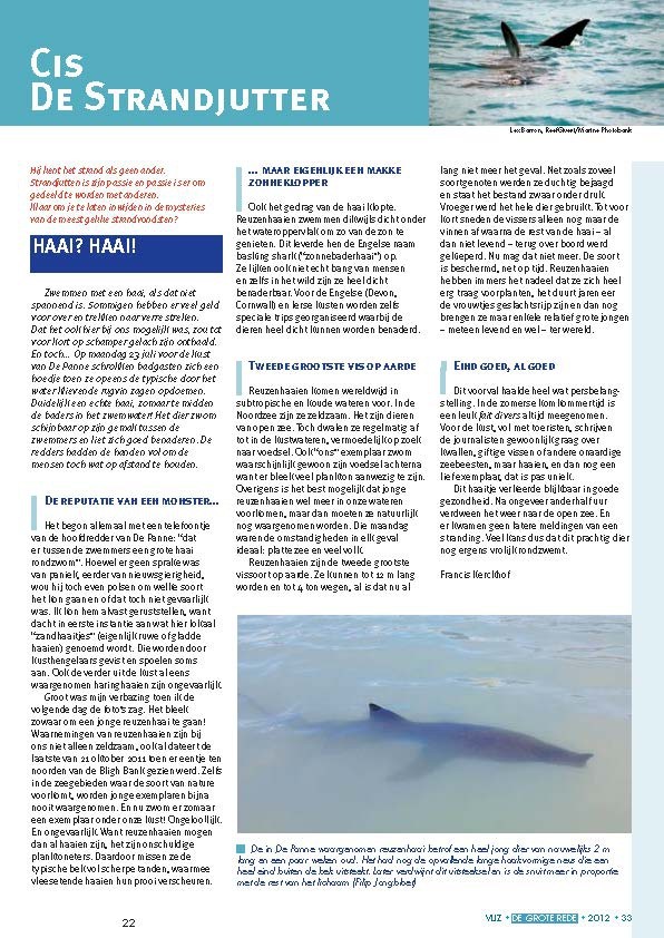 Cis de strandjutter: haai? Haai!