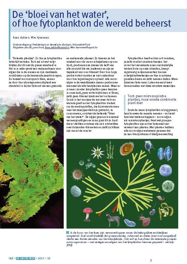 De ‘bloei van het water’, of hoe fytoplankton de wereld beheerst