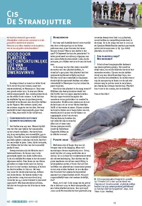 Cis de strandjutter: Dood door plastiek: het onfortuinlijke lot van een jonge dwergvinvis