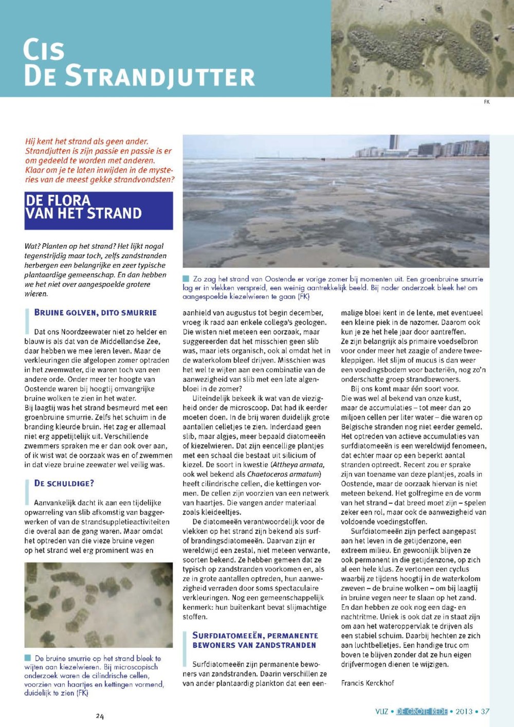 Cis de strandjutter: De flora van het strand