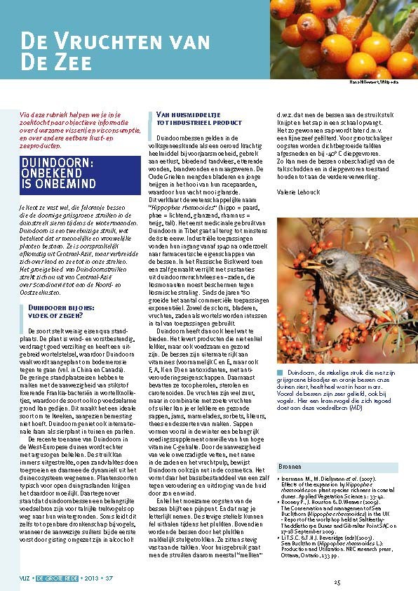 De vruchten van de zee: Duindoorn: onbekend is onbemind